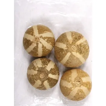 Dekorace sušiny BEL CUP NATUR přírodní 4ks