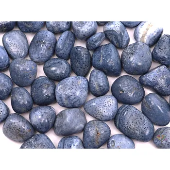 Drahý kámen Magieprirody.cz Tromlovaný zkamenělý Korál modrý M/L velikost 20 - 30 mm - Peru #304 Množství: 1ks