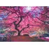 Puzzle Anatolian Růžový strom 1000 dílků