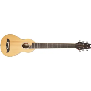 Akustická kytara Recenze Washburn Guitars RO10SK-A-U