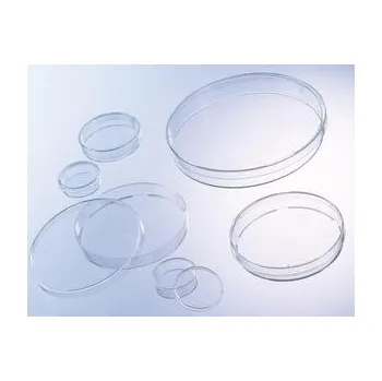 Petriho miska průměr 6cm, výška 1,2cm