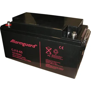 Elektronika Záložní akumulátor Alarmguard CJ12-65 12V 65Ah (Alarmguard CJ12-65)
