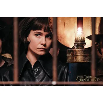 Plakát Plakát, Obraz - Fantastická zvířata - Tina agent