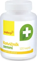 Wolfberry Kotvičník zemní 120 cps.