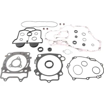 Těsnění motoru Sada těsnění motoru kompletní vč. gufer motoru WINDEROSA CGKOS 811997