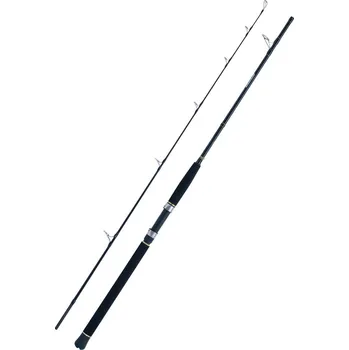 Volný čas WFT prut Seadart Special Fjord 2.10m 20-200g, 2 díl (Lehký prut pro mořský rybolov s celokovovými LTC Sport očky.)