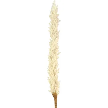 umělá květina Umělá květina Astilbe krém 114 cm