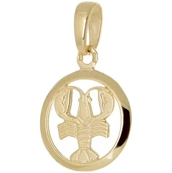 Přívěsek Přívěšek znamení Rak ze žlutého zlata ZZ0845RAKF + dárek zdarma