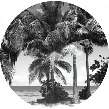 Fototapeta Samolepicí fototapeta Palmy 140x140 cm CR3309 Monochromatic Palms / kruhové samolepicí vliesové dekorace La Form (ø 140 cm) AG Design