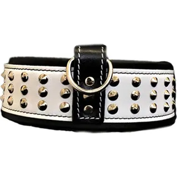 Obojek pro psa Bestia Collars Obojek pro psa Bestia Collar Star bílý Velikost: M