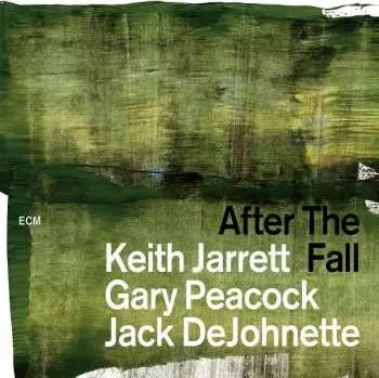 Zahraniční hudba 2CD Jack DeJohnette: After The Fall 2018