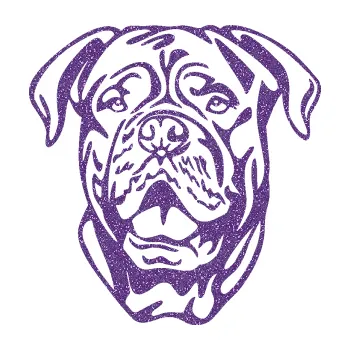 Polep vozidla Pes 166 levá doga (87 - Ultra Metalic fialová) SAMOLEPKA NA AUTO, NÁLEPKA, FÓLIE, POLEP, TUNING, VLASTNÍ TEXT, TISK, AUTOSAMOLEPKY.cz, POLEPY, OBRÁZEK, LOGO, 3D STICKERS