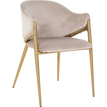 Jídelní židle Richmond Sametová jídelní židle Gwen