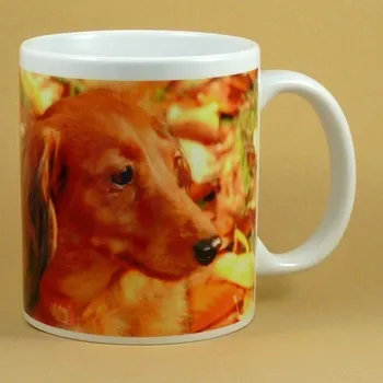 Hrnek jezevčík dlouhostrstý