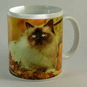 Hrnek kočka Ragdoll