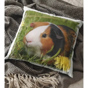 Dekorativní polštářek Polštář Morče 29 x 29 cm