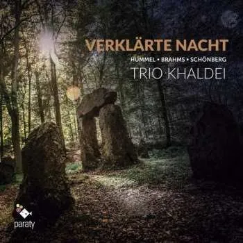 Zahraniční hudba CD Hummel Brahms Schonberg: Trio Khaldei - Verklärte Nacht 2019