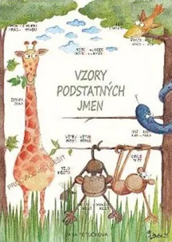 Český jazyk Vzory podstatných jmen - Jana Potůčková (2016, brožovaná)