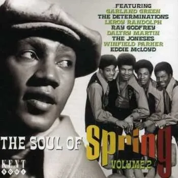 Zahraniční hudba CD Various: The Soul Of Spring Volume 2 2007