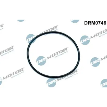 Vakuové čerpadlo Těsnění, vakuové čerpadlo Dr.Motor Automotive DRM0746