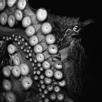 Zahraniční hudba CD Skein: Deadweight 2017