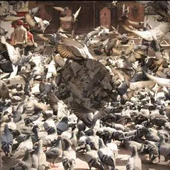 Zahraniční hudba CD See Through Dresses: See Through Dresses 2015