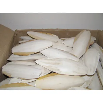 Krmivo pro ptáka Zagers Vogelvoeders Sépiová kost pravá cca 15 cm balení 15 ks