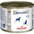 Krmivo pro psa Royal Canin Veterinary Diet Cat/Dog Recovery konzerva 195 g