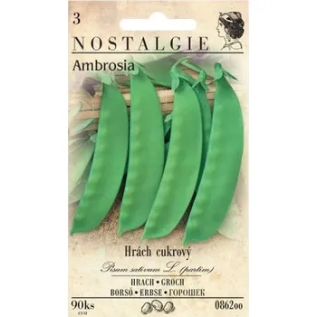 Pěstitelství Hrách cukrový AMBROSIA