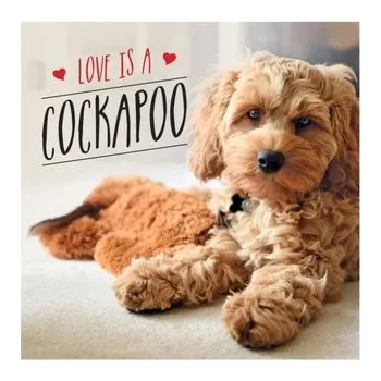 Encyklopedie Love is a Cockapoo - Ellis, Charlie