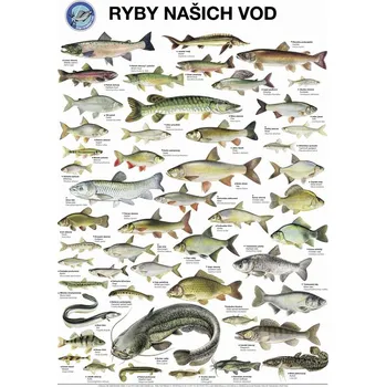 ČRS Ryby našich vod 67 x 96 cm
