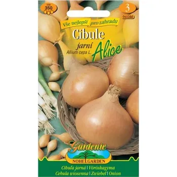 Semeno Cibule jarní ALICE, žlutá