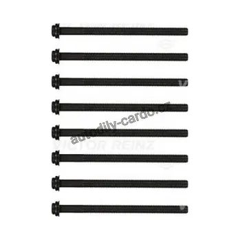 Těsnění motoru Sada šroubů pro hlavy válcu VICTOR REINZ (VR 14-32324-01)