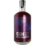 Rammstein Sloe Gin 27 % 0,7 l