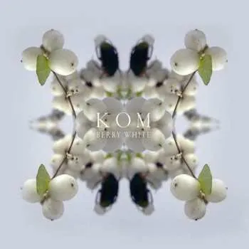 Zahraniční hudba CD Kom: Berry White 2012