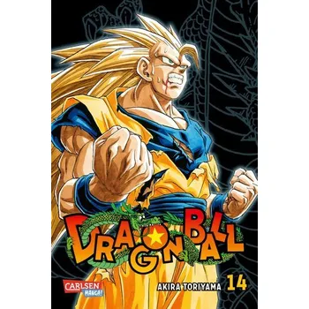 Komiks pro dospělé Dragon Ball Massiv 14 - Toriyama, Akira