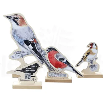 Výuková hračka Lesní svět Sada modelů