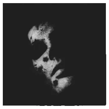 Zahraniční hudba CD/Box Set In Solitude: Sister DLX | LTD 2020 Deluxe Edition