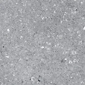 Dlažba Expedition grafit struktura - dlaždice 40x40 šedá 161672