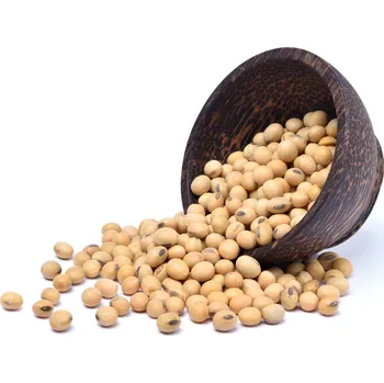 Luštěnina Sojové boby BIO 5 kg Les Fruits du Paradis