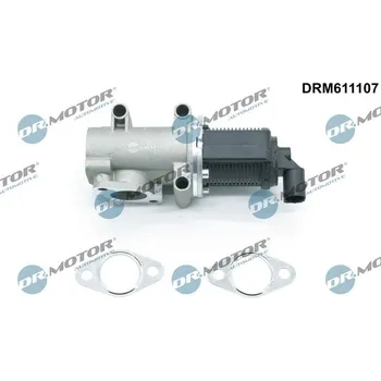 Ventil palivového systému AGR-Ventil Dr.Motor Automotive DRM611107