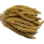 JUKO petfood - Senegalské proso žluté…