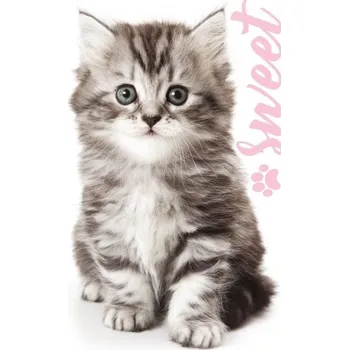 Carbotex • Ručník na ruce, či na obličej s motivem Sladké koťátko - 100% bavlna s gramáží 350 gr./m² - 30 x 50 cm