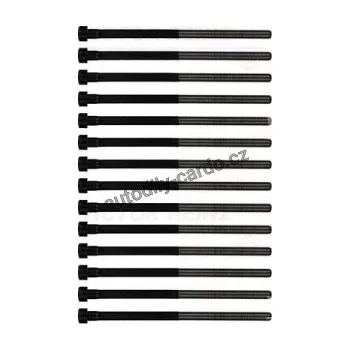 Těsnění motoru Sada šroubů pro hlavy válcu VICTOR REINZ (VR 14-32306-01)