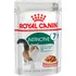 Krmivo pro kočku Royal Canin Feline Instinctive Senior Gravy 12 x 85 g