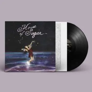 Zahraniční hudba LP Alex G: House Of Sugar 2019 180g Vinyl