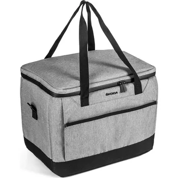 Recenze ŠKODA AUTO 000087311B 25 l