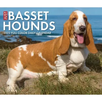 Kalendář Basset Hounds 2022 Box Calendar - Dog Breed Daily Desktop - výprodej - Willow Creek Press