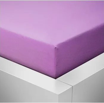 Prostěradlo Jersey fialové prostěradlo David dvoulůžko 160x200 cm Barva: Fialová, rozměr: 160x200cm