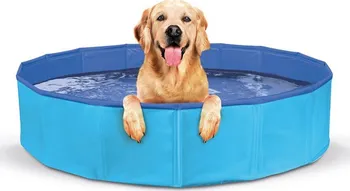 bazén pro psa Record Bazén pro velké psy 120 x 30 cm modrý